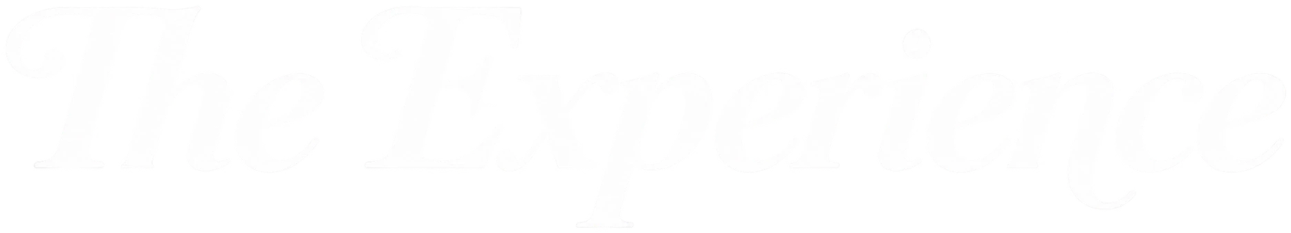 The Experience